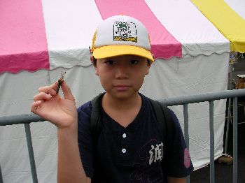 日光のトンボはスレてない（日光ツーデーウォーク）