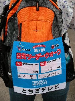 日光のトンボはスレてない（日光ツーデーウォーク）