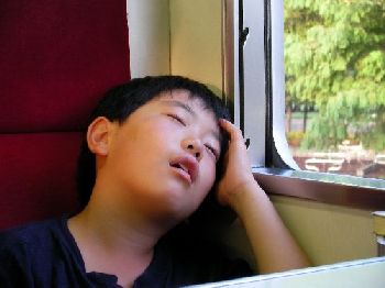 日光のトンボはスレてない（日光ツーデーウォーク）