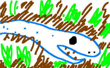 創太郎　パソコンでお絵かき