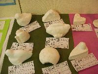 第３１回松戸市小中学校造形作品展