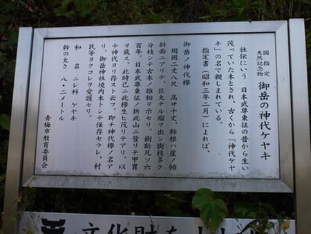 御岳山のロックガーデンを歩いてきた