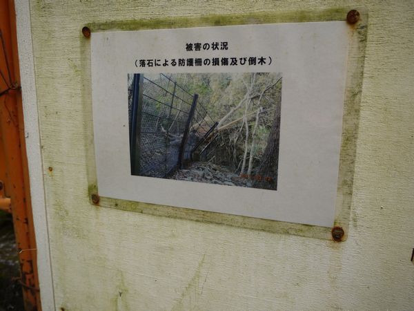 鳩ノ巣渓谷は通行止めだった