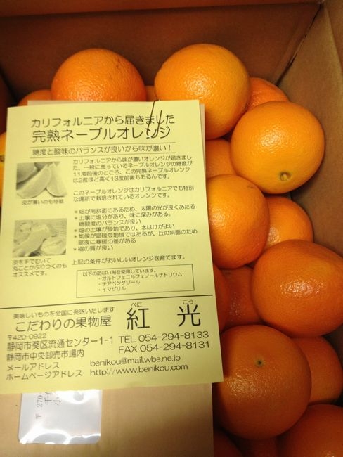 紅光のネーブルオレンジ　うまい！