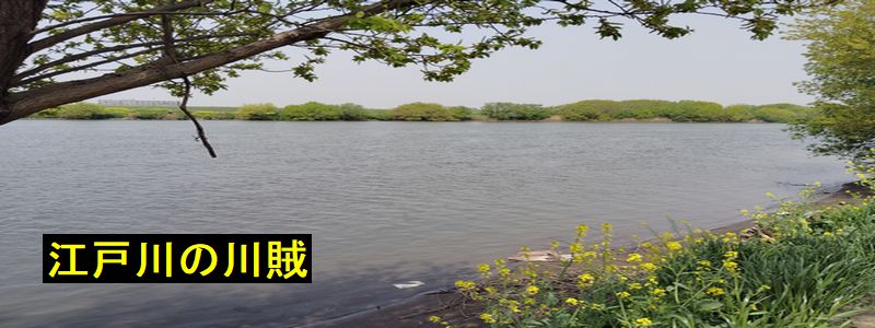 江戸川の川賊