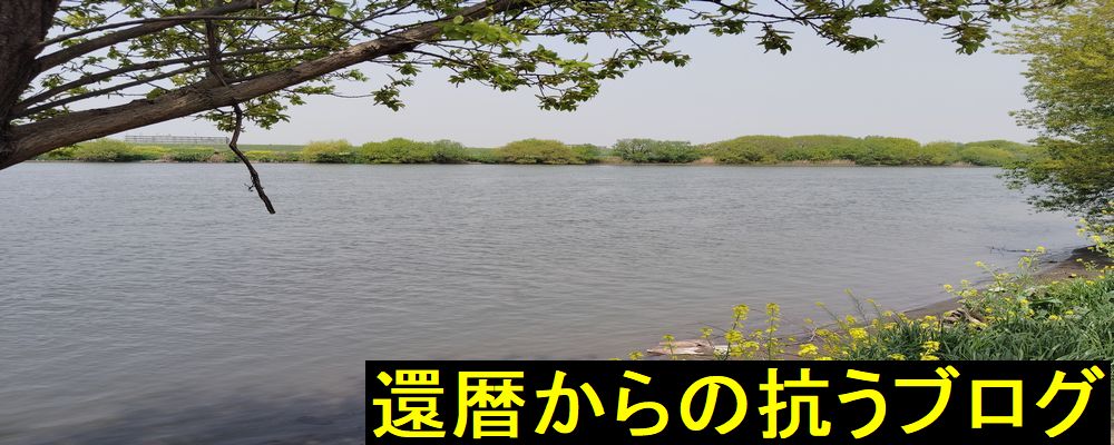 還暦からの抗うブログ